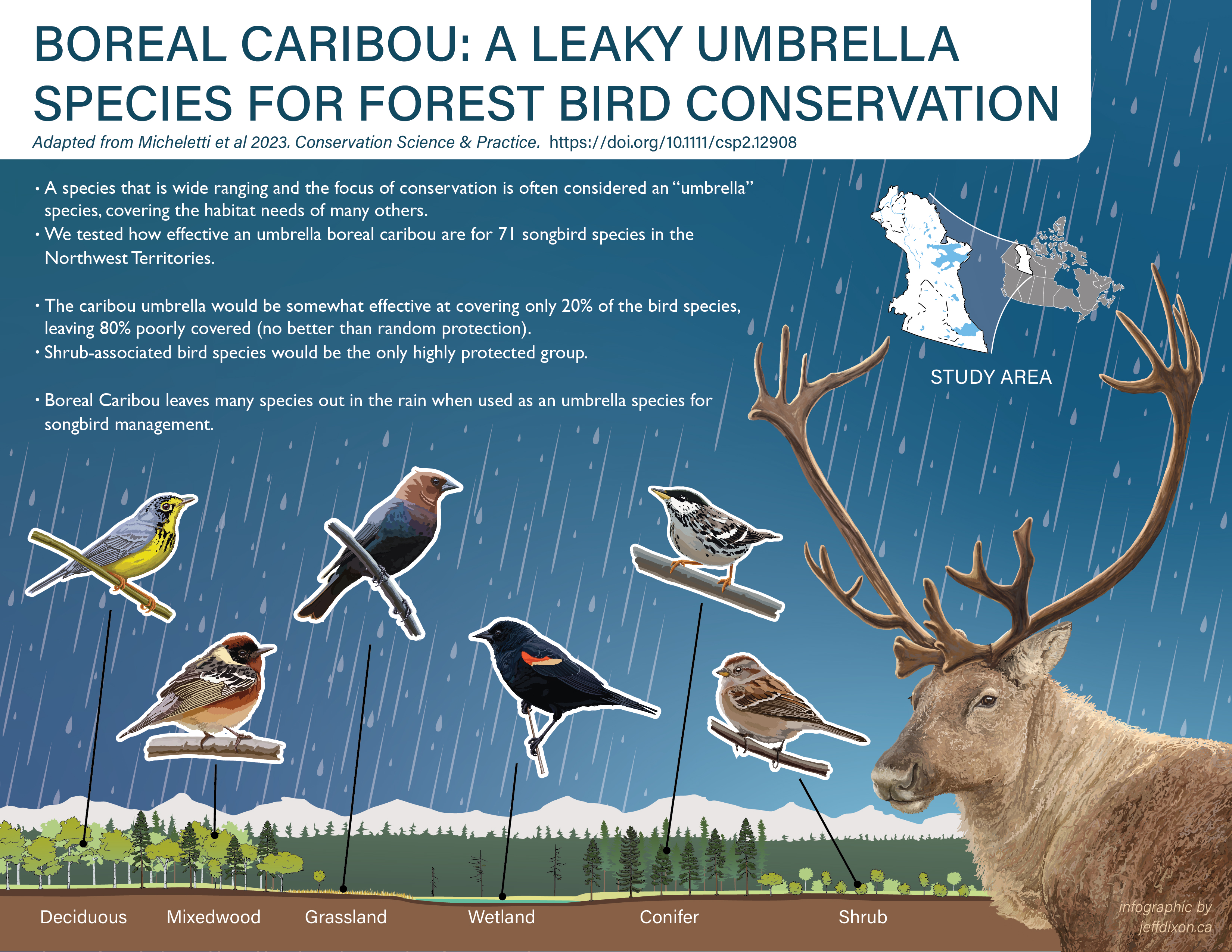 Umbrella Species Concept