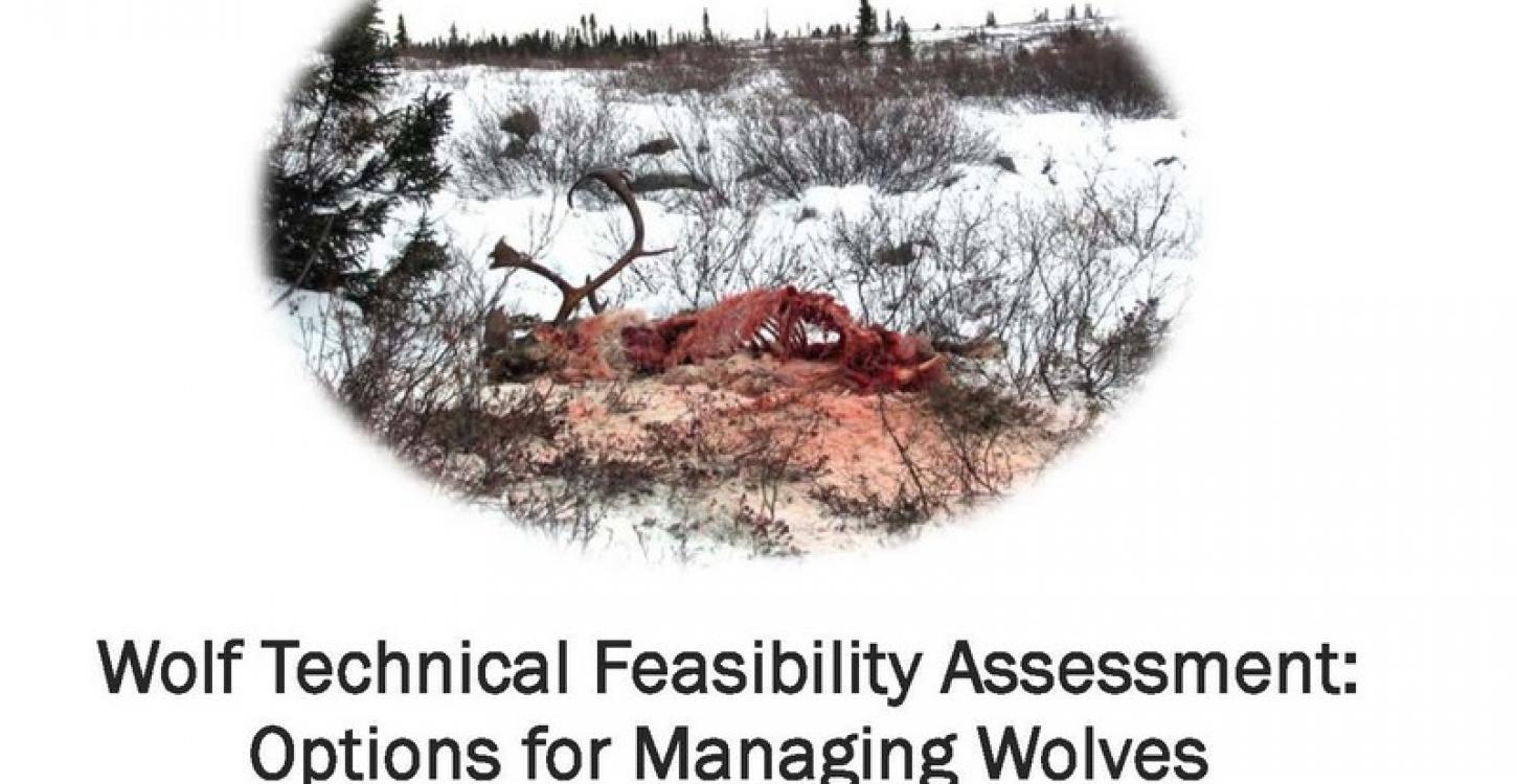 Wolf Feasibility Assessment Report Cover